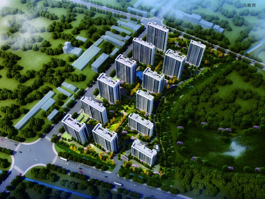 公示地点为项目现场和义乌市自然资源和规划局政务公开专栏